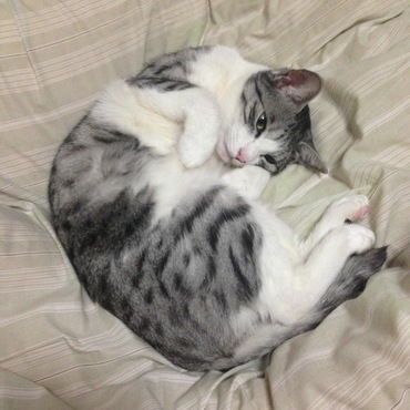 ジェイの写真