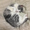 の写真