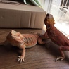 の写真