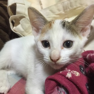 とても、元気な女の子です♪