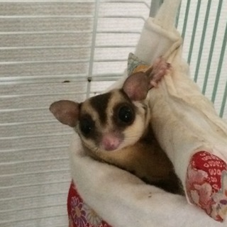 ありがとうございます。