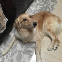 ハナ