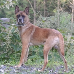 9月10日のラン君