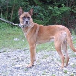 「9月10日のラン君」サムネイル2