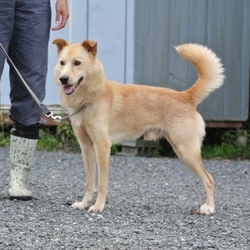 9月10日のカンジ君