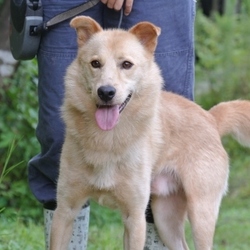 「9月10日のカンジ君」サムネイル2