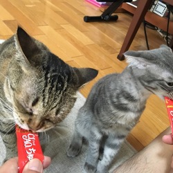 ウマウマ〜(￣▽￣)