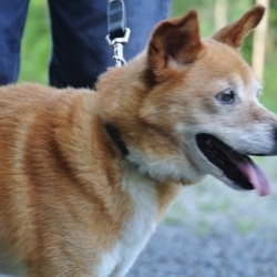 9月10日のムネ君