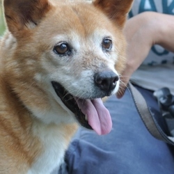 「9月10日のムネ君」サムネイル2