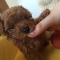 たくさんのご応募いただき一旦募集終了いたします。