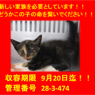 9/22お迎え頂きました(*^▽^*)感謝♪