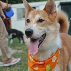 「博士、大会デビューに向けて」サムネイル2