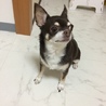 里親さん募集中です！ サムネイル3
