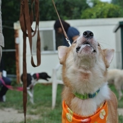 甘えん坊博士くん