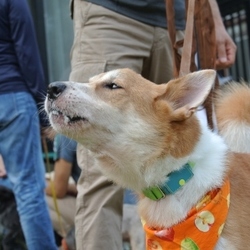 「甘えん坊博士くん」サムネイル2