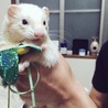 パパに捕まった