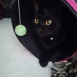 プレゼント頂きました！