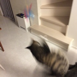 「プレゼント頂きました！」サムネイル2