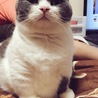 よもぎは、レイといちばんなかよしさん