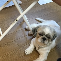 「キキ一髪⁉︎」サムネイル3