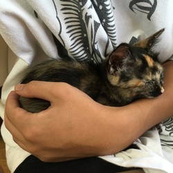 「占有スペースの変更」サムネイル3