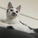 甘えん坊！
