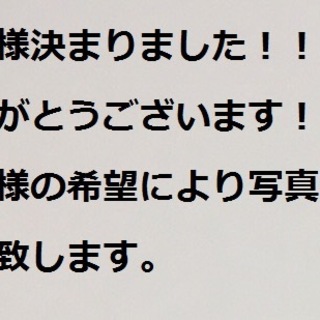 里親決まりました。ありがとうございます。