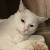 ちろ