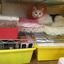 「再 ハウス移動」サムネイル1