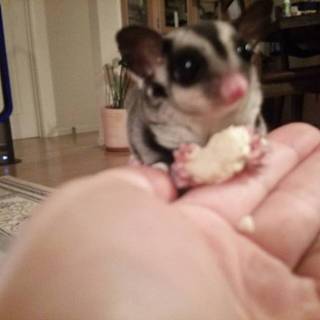 決まりました！ありがとうございます。