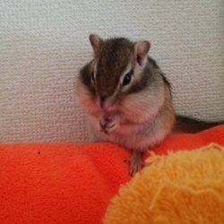 そ～っと、そ～っと。