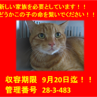 素敵な飼い主さんにお迎えいただきました(^^♪