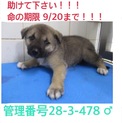 家族が出来ました！