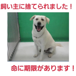 ドタキャンされました!!緊急です!!助けて!