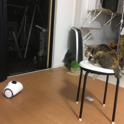 稼働型ネットカメラ