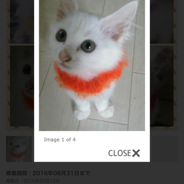 当日娘が紫→オレンジに変更希望