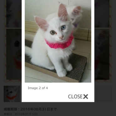 当日見てもやっぱりこの子！