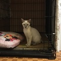 ありがとうございました