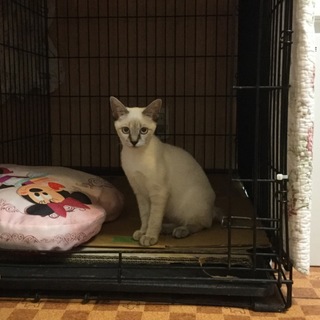 ありがとうございました