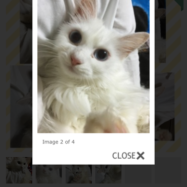 ツインズにソックリ♡