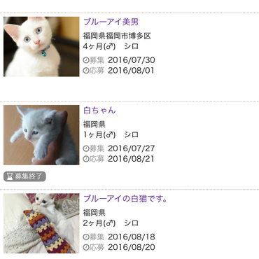 他サイトでの応募履歴