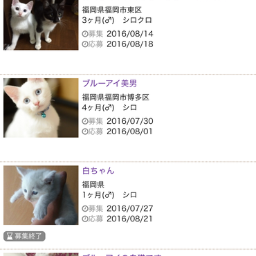 他サイトでの応募履歴2