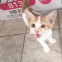 ありがとうございました
