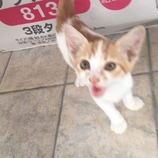 ありがとうございました