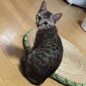 元気なリオちゃん