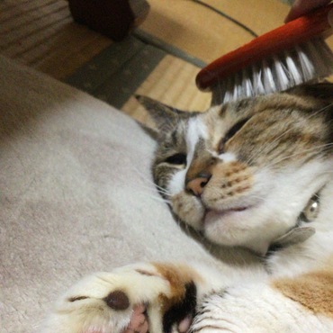 の写真