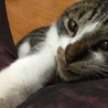 の写真