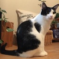 本当にお願い致します。