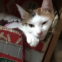 ぷう