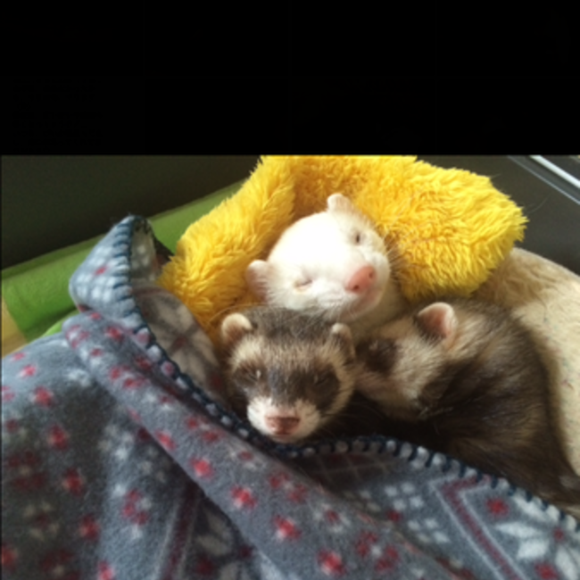 letranのカバー写真